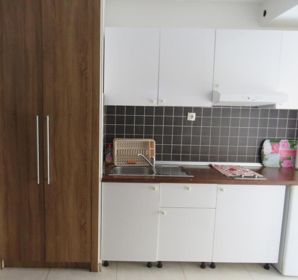 Apartman With Big Terrace 3